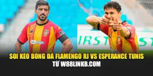 Soi Kèo Bóng Đá Flamengo RJ Vs Esperance Tunis Từ aggarwalcollege.in.net
