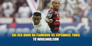 Soi Kèo Bóng Đá Flamengo Vs Esperance Tunis Từ aggarwalcollege.in.net